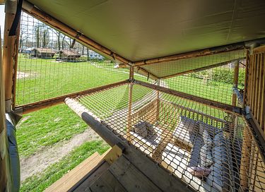 Familielodge op leuk vakantiepark - 4