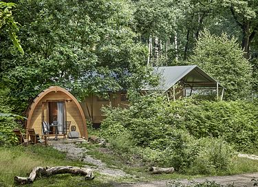Enjoy nature in this luxury pod - 3