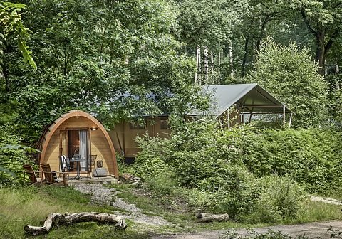 Enjoy nature in this luxury pod - 3