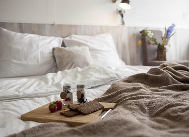 Charming stay on the Dutch coast - 8