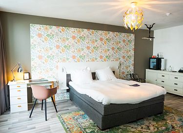 Historisch hotel vlakbij de Veluwe - 4