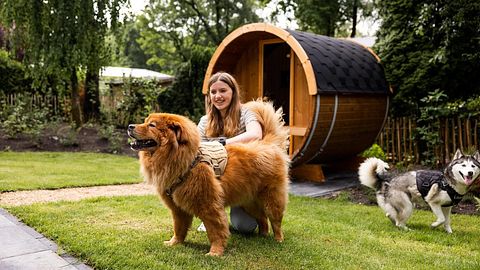 Wellness lodge (4p) op de Veluwe - 5