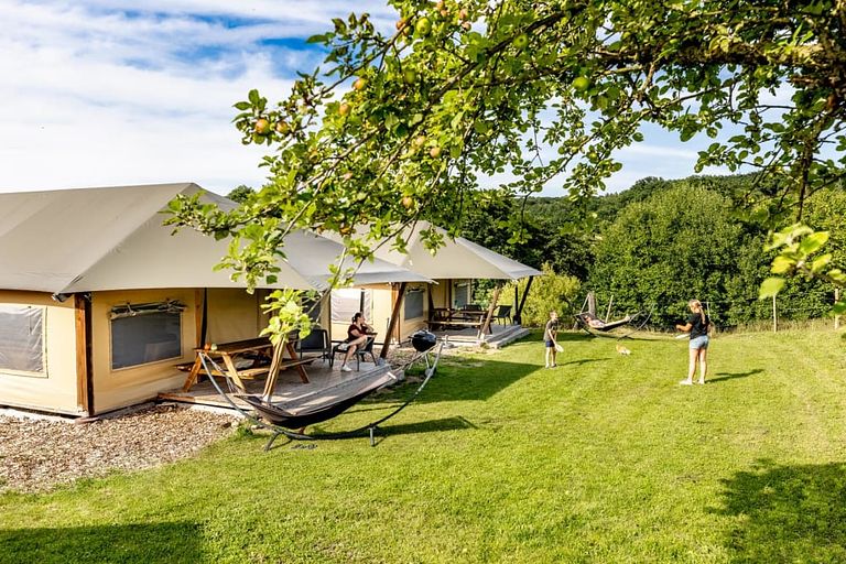 Glamping dans une ferme équestre et laitière - 1