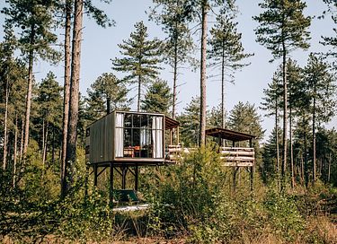 Cabane dans les arbres en forêt