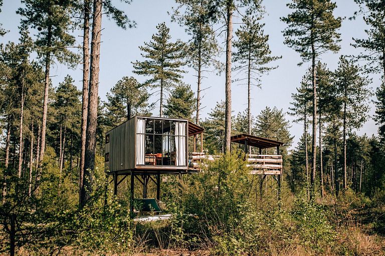 Treehouse in the forest - 1