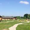 Glamping à la ferme des vaches laitières