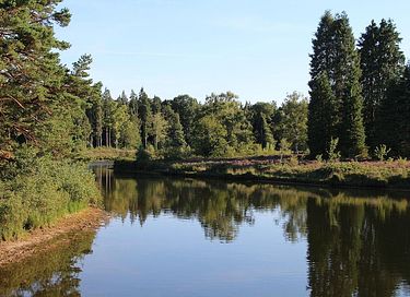 Lodge (sleeps 4) with wellness facilities in Overijssel - 23