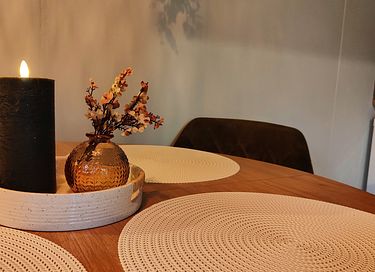 Feriehus i Drenthe med privat spabad - 13