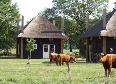 Dormir dans 2 chalets en meule de foin pour 10 personnes - 2