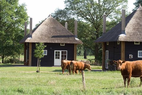 Dormir dans 2 chalets en meule de foin pour 10 personnes - 2