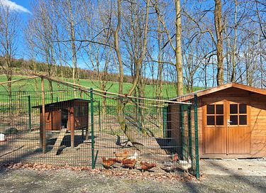 Drempelvrij blokhut in de regio Sauerland - 13