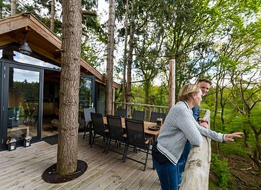 Special overnight stay in an XXL treehouse - 6
