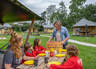 Glamping à la ferme des vaches laitières et des veaux - 5