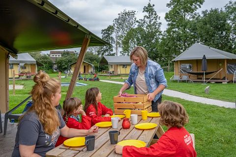 Glamping à la ferme des vaches laitières et des veaux - 5
