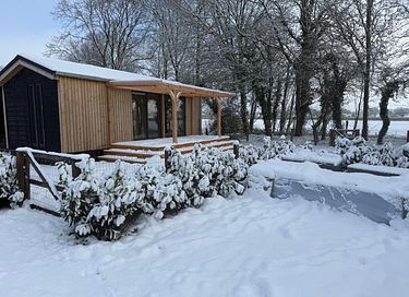 Accogliente tiny house immersa nel verde - 5