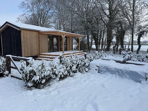 Accogliente tiny house immersa nel verde - 5
