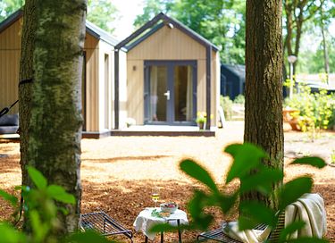 Design vakantiehuisje op de Veluwe - 14