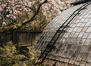 Overnachten in een 100 jaar oude druivenkas - 34