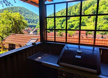 abin with a large gardenin the Harz Mountains - 44