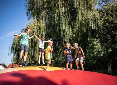 Hondvriendelijke boshuisje in Drenthe - 55