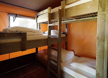 Luxe kamperen op de Veluwe met 5 personen - 4