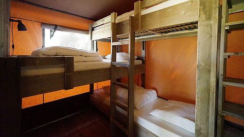Luxe kamperen op de Veluwe met 5 personen - 4