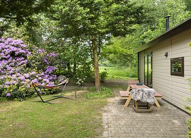 Mooi gelegen vakantiehuis midden op de Veluwe - 2