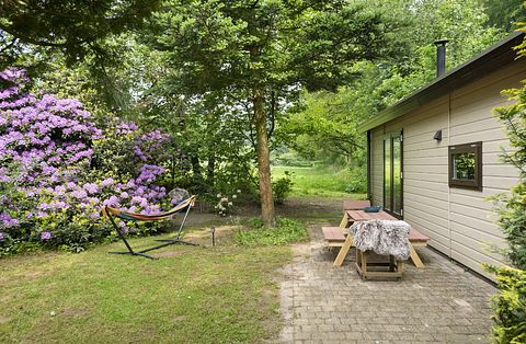 Mooi gelegen vakantiehuis midden op de Veluwe - 2