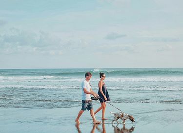 Studio acceptant les chiens (2 personnes) à Terschelling - 36