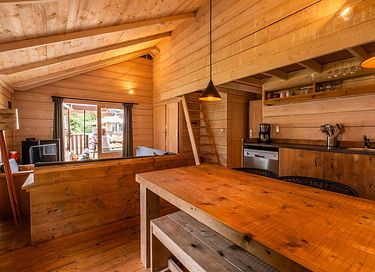 Unique stay in Drenthe (dogs allowed) - 10