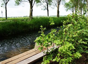 Einzigartiges Glamping Armeezelt mit Whirlpool und Ofen - 32