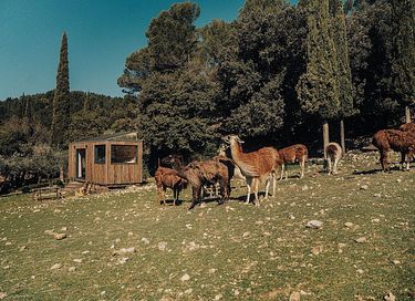 T tiny house at the foot of Mont Ventoux - 3