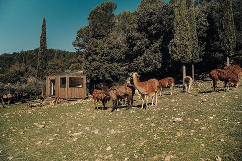 T tiny house at the foot of Mont Ventoux - 3