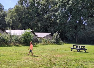 Safari tent on quiet location in Brabant - 16