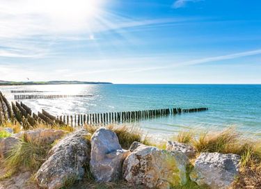 Logement de vacances dans un beau parc à proximité de la mer - 27