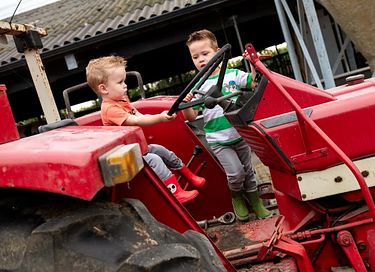 Glamping at Dairy Cattle & Calves Farm - 9