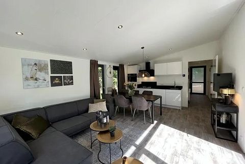 Luxury 6-person holiday home in Drenthe - 4