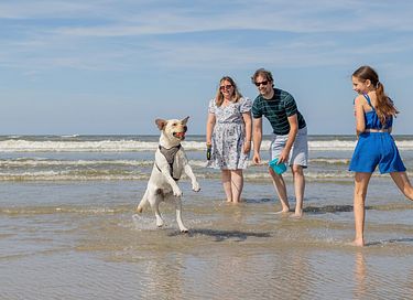 Hondvriendelijke bungalow op Ameland - 34