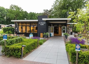 Dog-friendly wellness lodge in the Veluwe region - 9