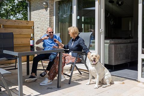 Hondvriendelijke bungalow op Ameland - 3
