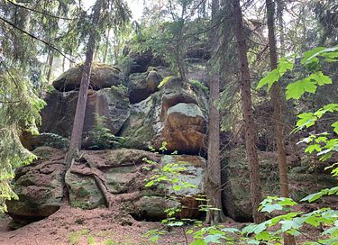 Historisches Fachwerkhaus in Oybin mit Wellness - 33