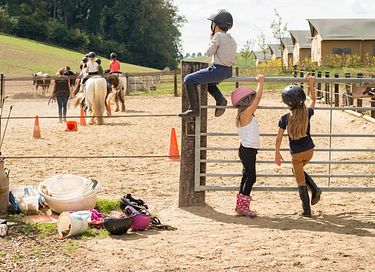  Glamping on Horse & pony farm glamping - 4