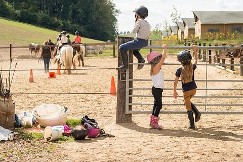  Glamping on Horse & pony farm glamping - 4