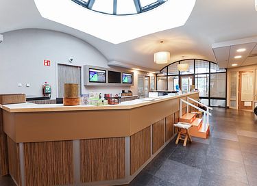 Safaritent (6p) met badkamer en keuken - 20
