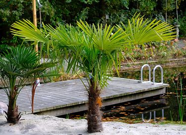 B&B with beach - 18