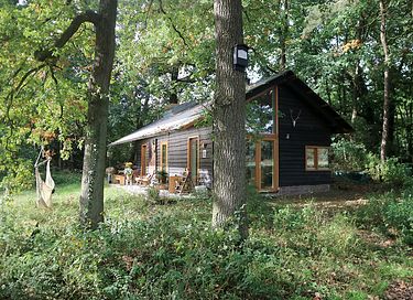 Ferienwohnungen aus Holz im Wald auf der Veluwe