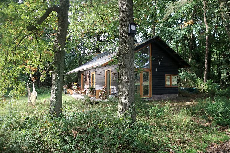 Houten vakantiehuis in het bos op de Veluwe - 1
