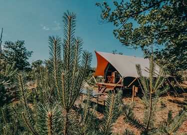 Luxe tent voor 4 pers. op bijzondere locatie - 1