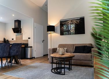 Maison unique avec toit-terrasse de la Veluwe - 6