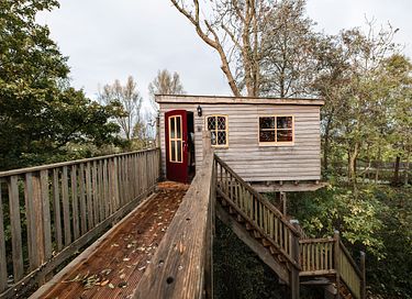 L'arbre a cabane avec un balcon dans un environnement naturel - 2